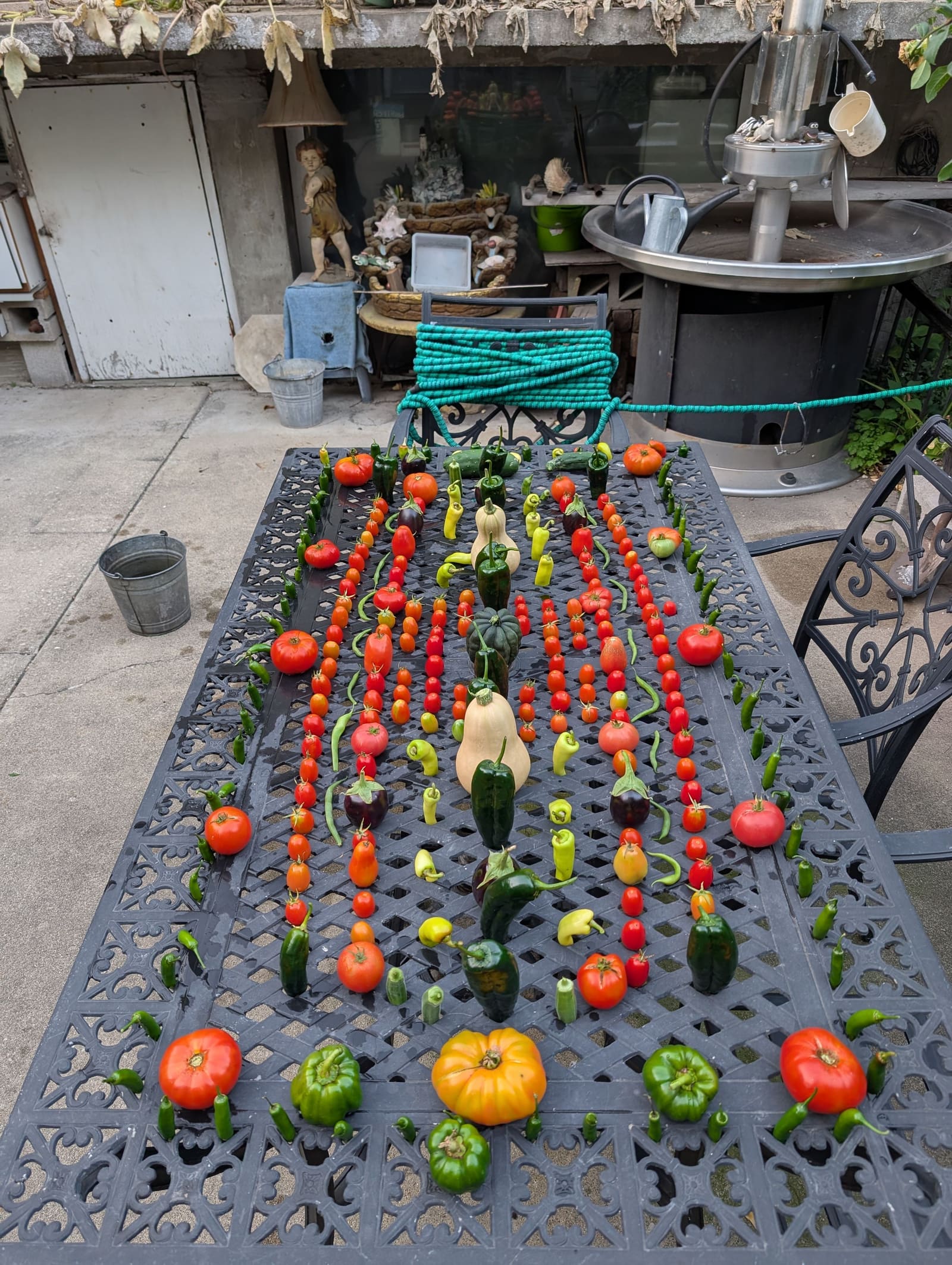 The week's harvest arranged on the table. October 2025.
