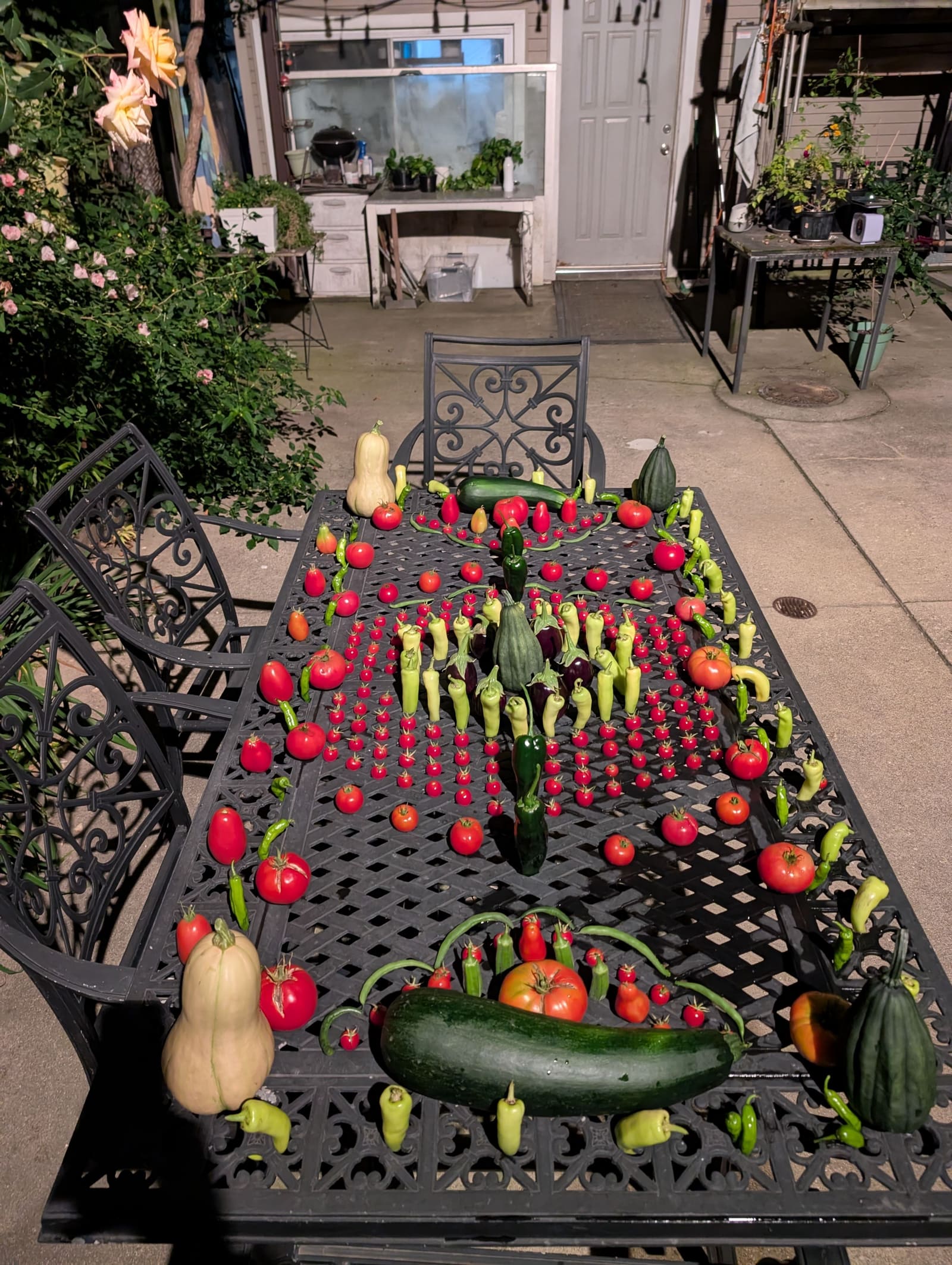 The week's harvest arranged on the table. September 2025.