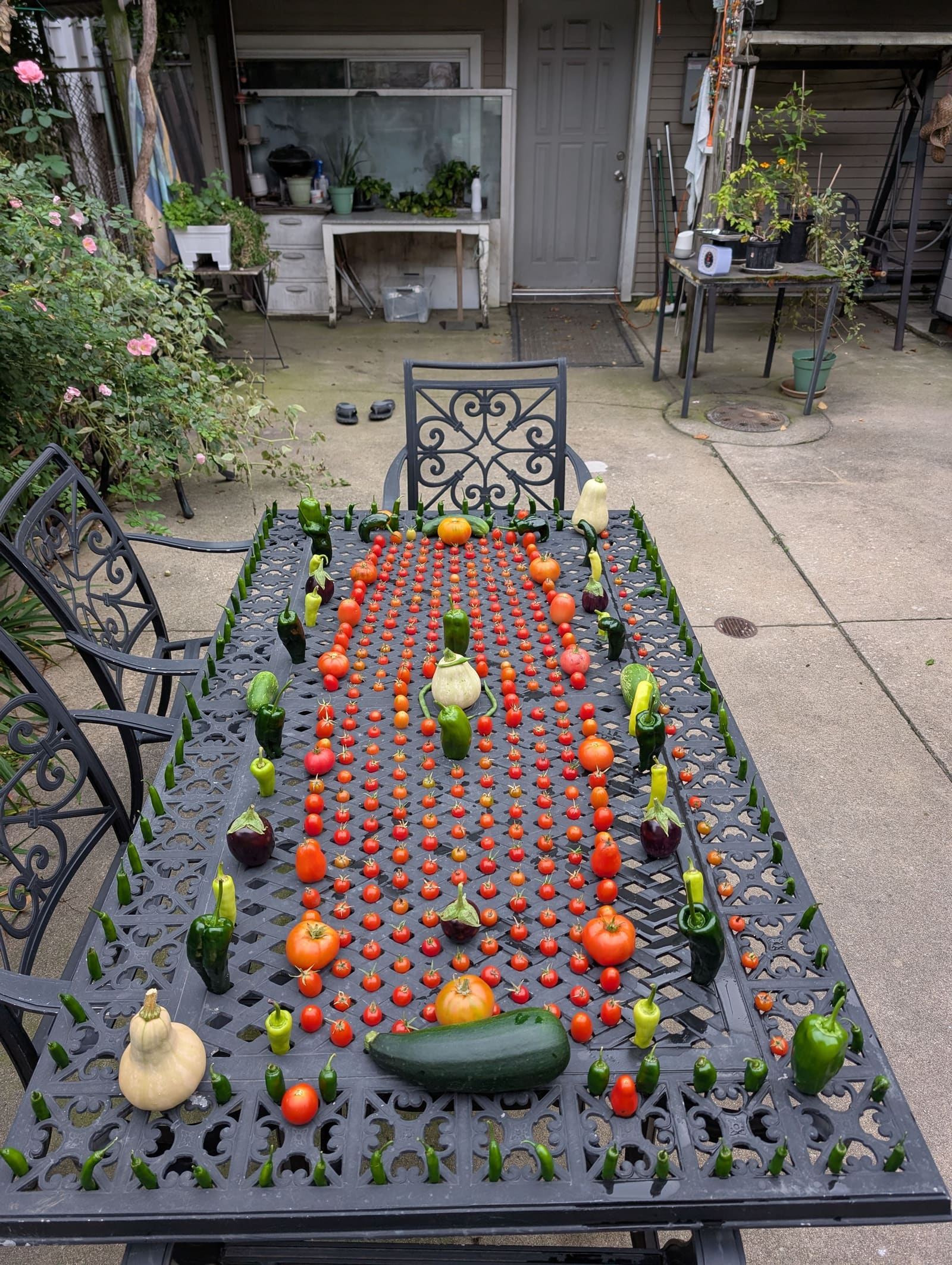 The week's harvest arranged on the table. October 2025.