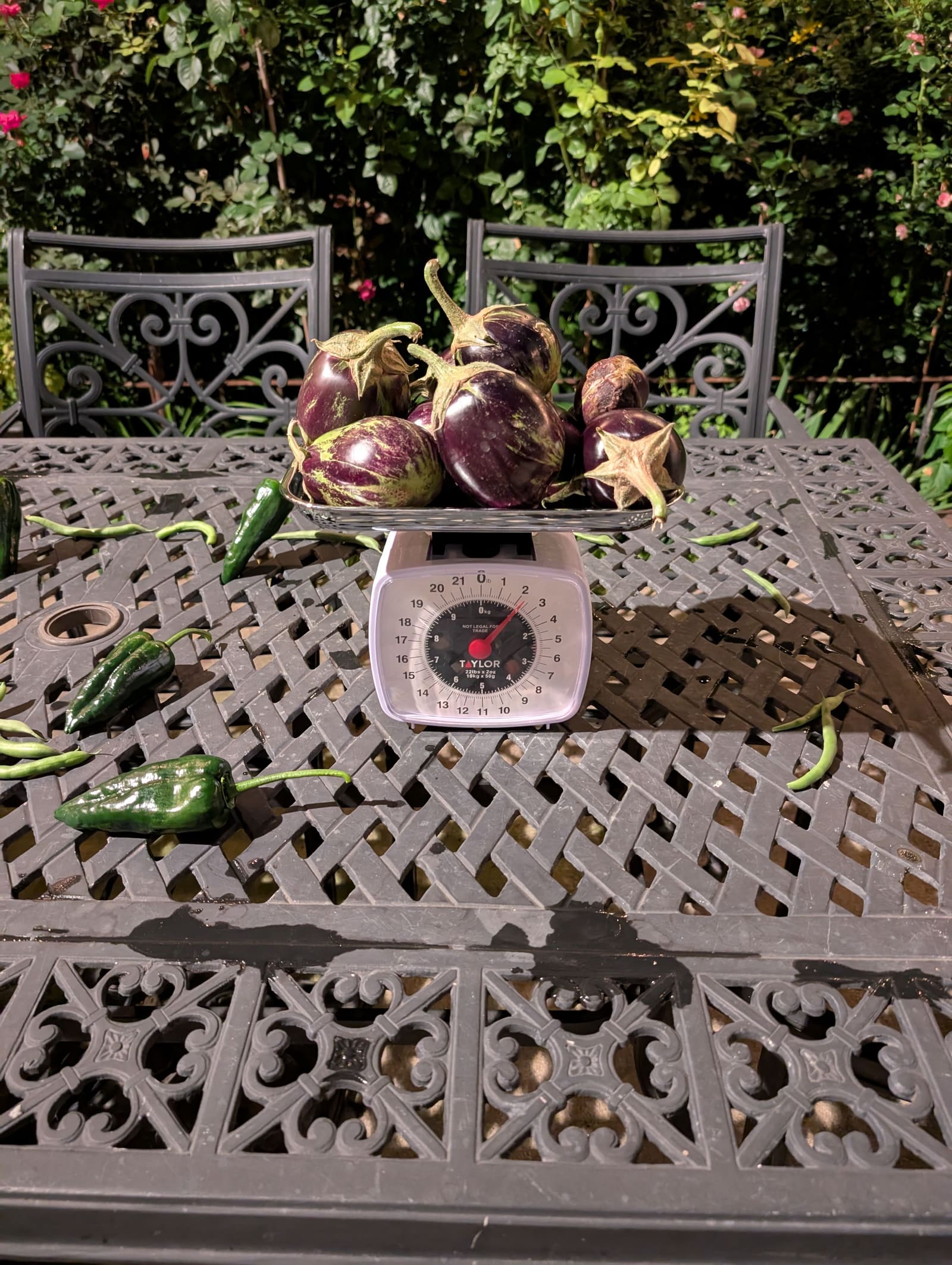 The week's harvest arranged on the table, with the scale in frame. August 2025.