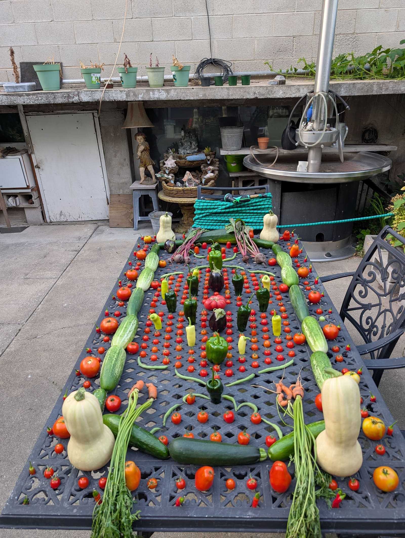 The week's harvest arranged on the table. August 2025.