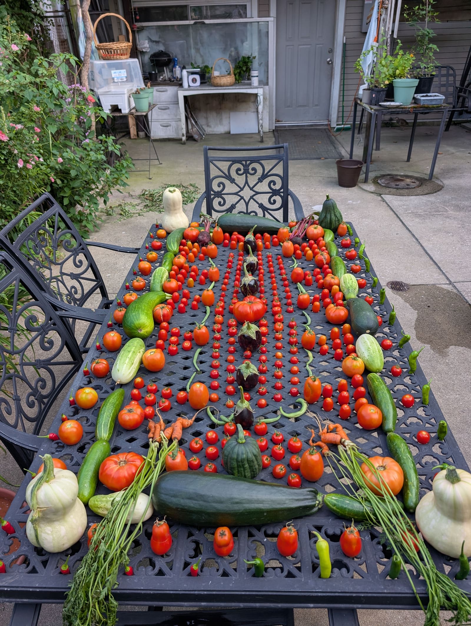 The week's harvest arranged on the table. August 2025.