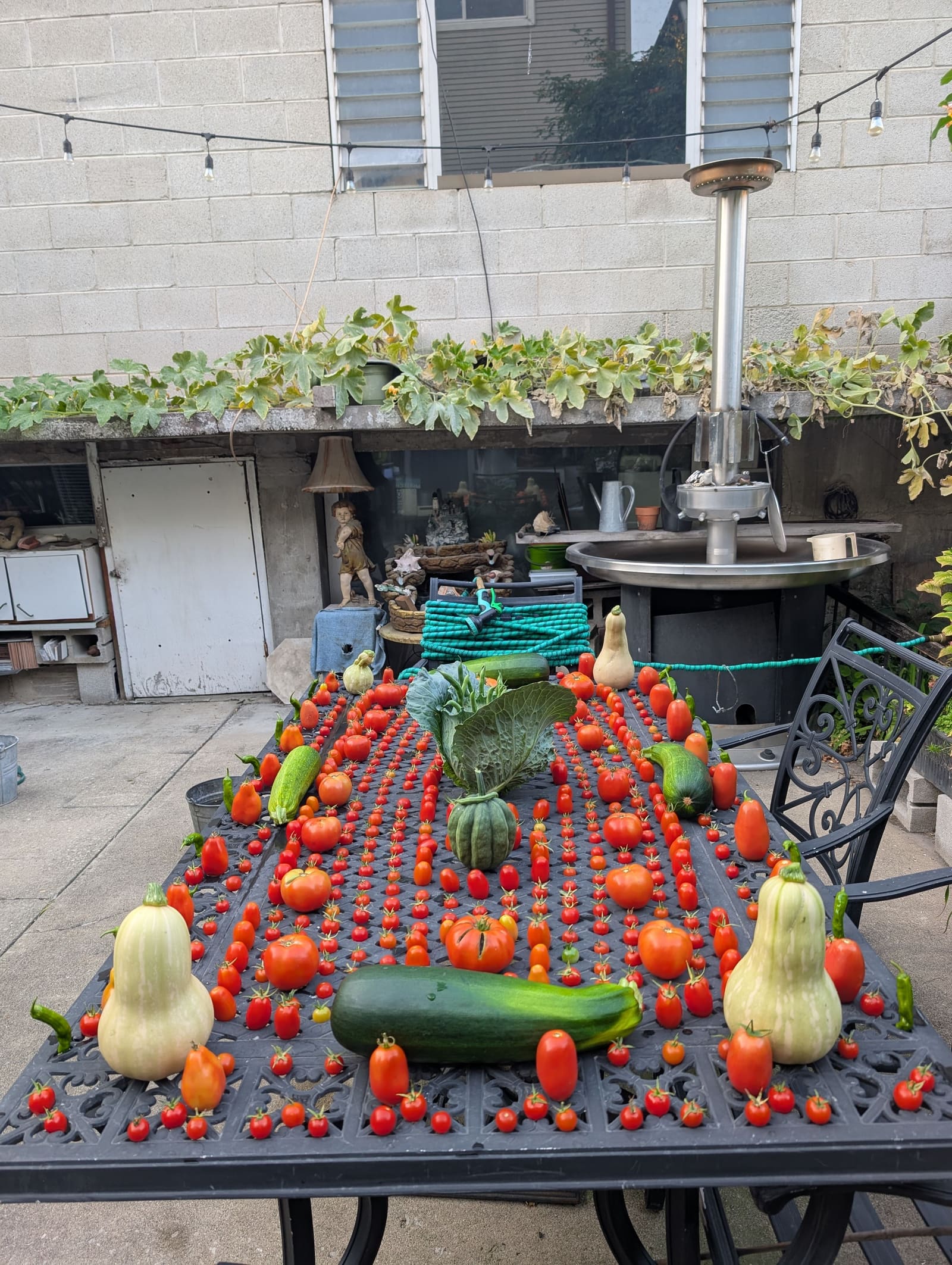 The week's harvest arranged on the table. September 2025.