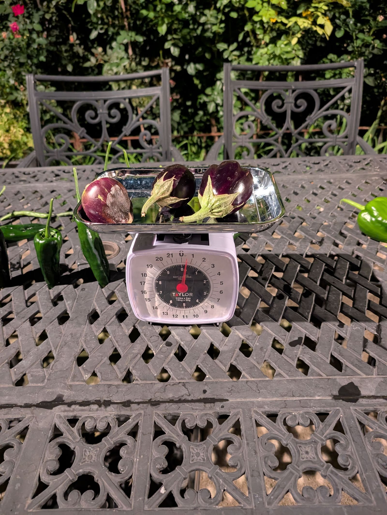 The week's harvest arranged on the table, with the scale in frame. August 2025.