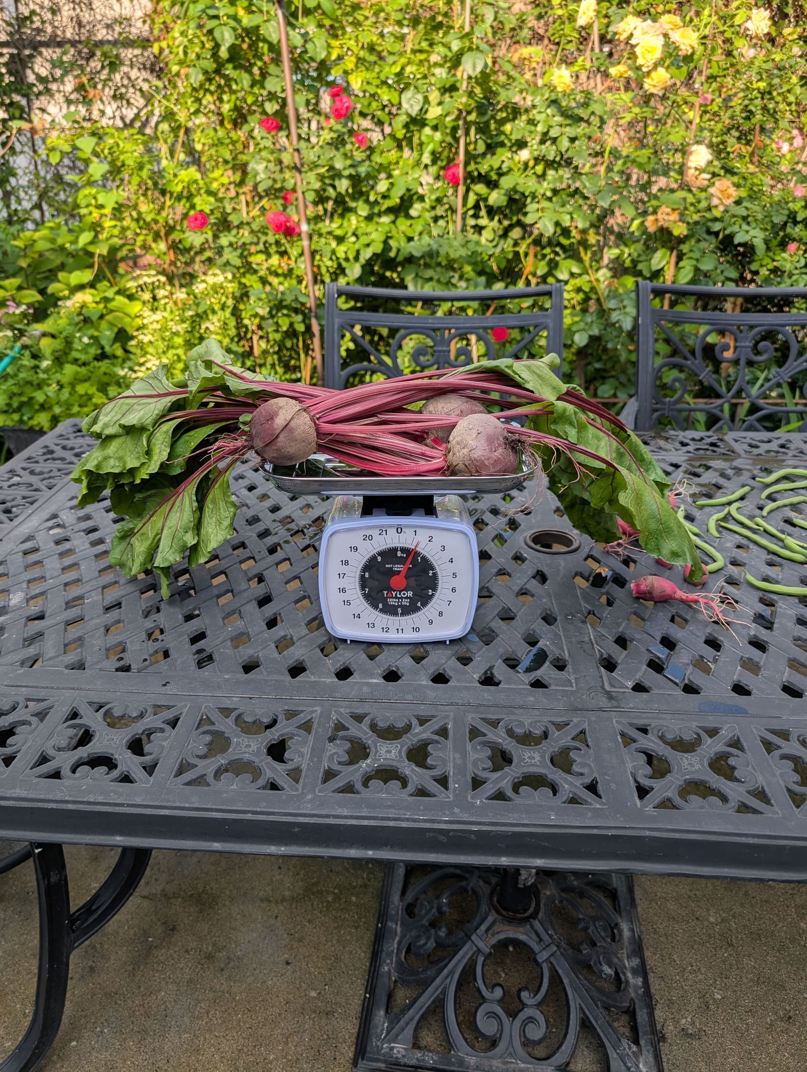 The week's harvest arranged on the table, with the scale in frame. July 2025.