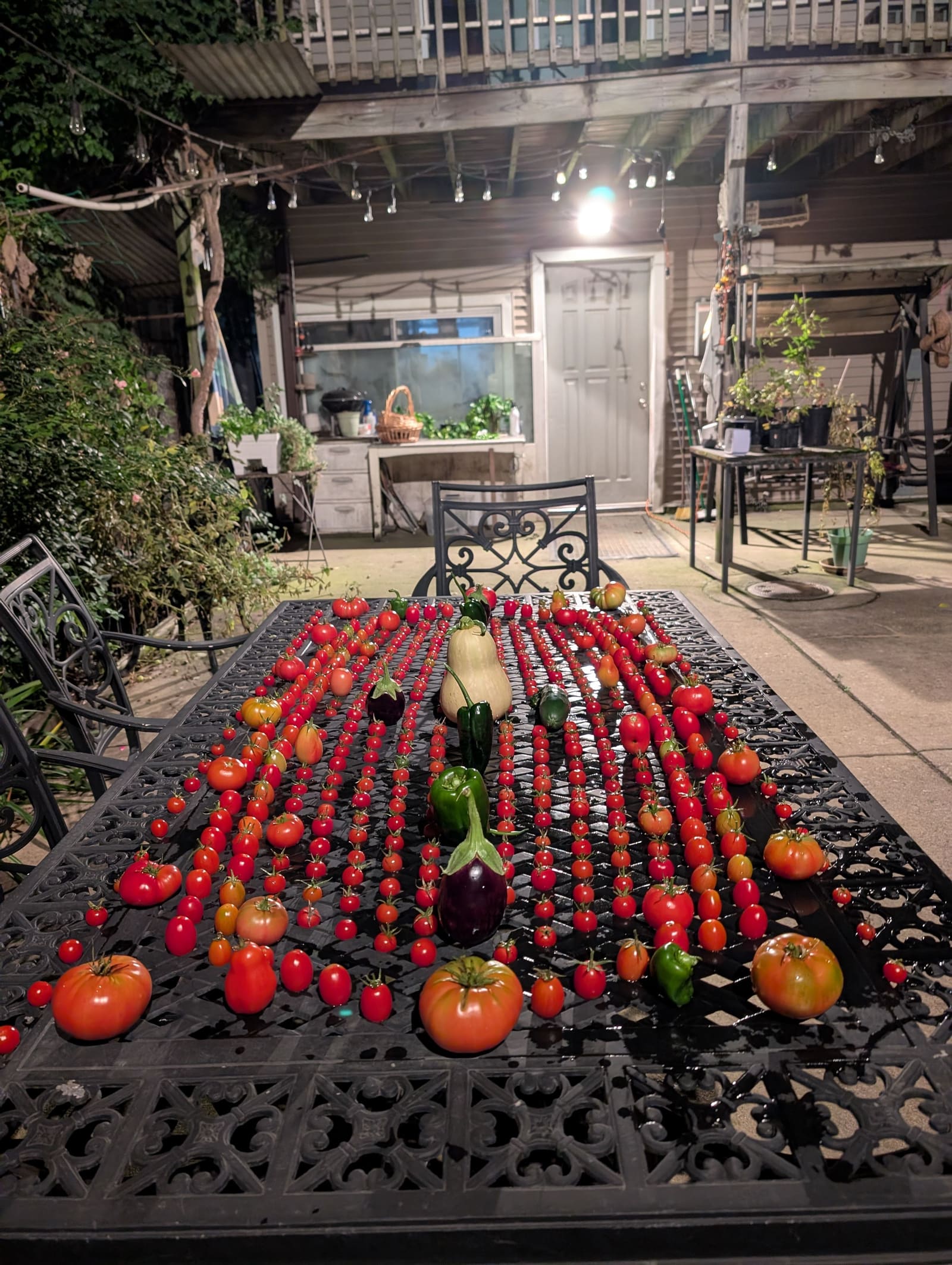 The week's harvest arranged on the table. October 2025.