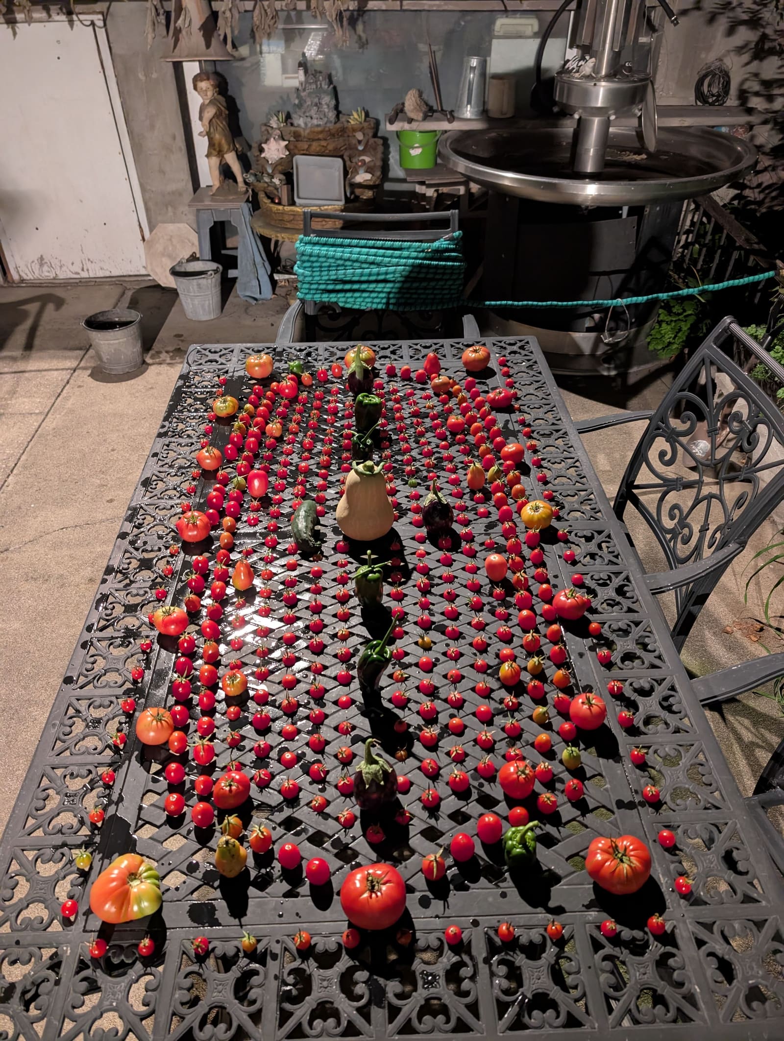 The week's harvest arranged on the table. October 2025.