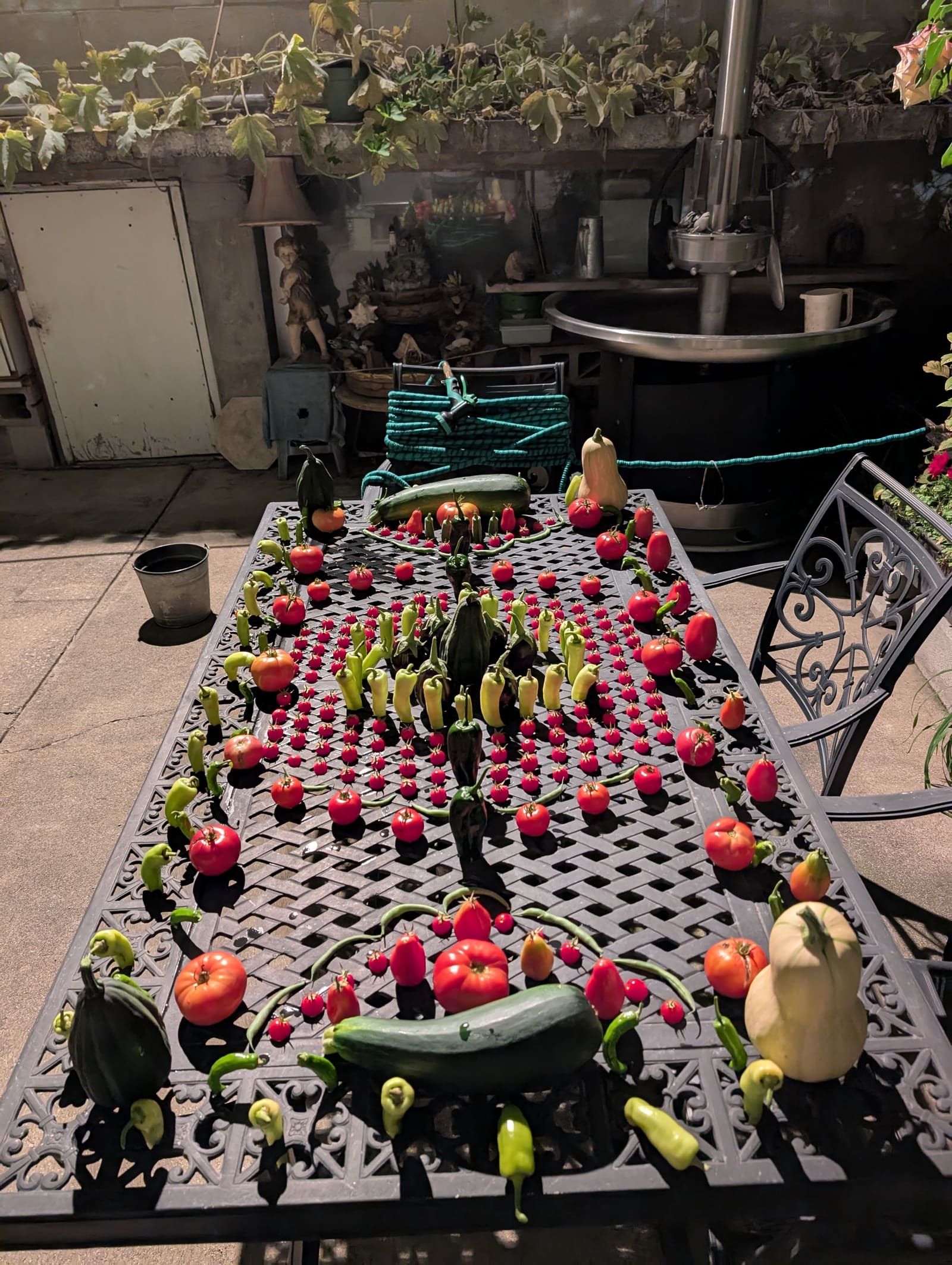 The week's harvest arranged on the table. September 2025.