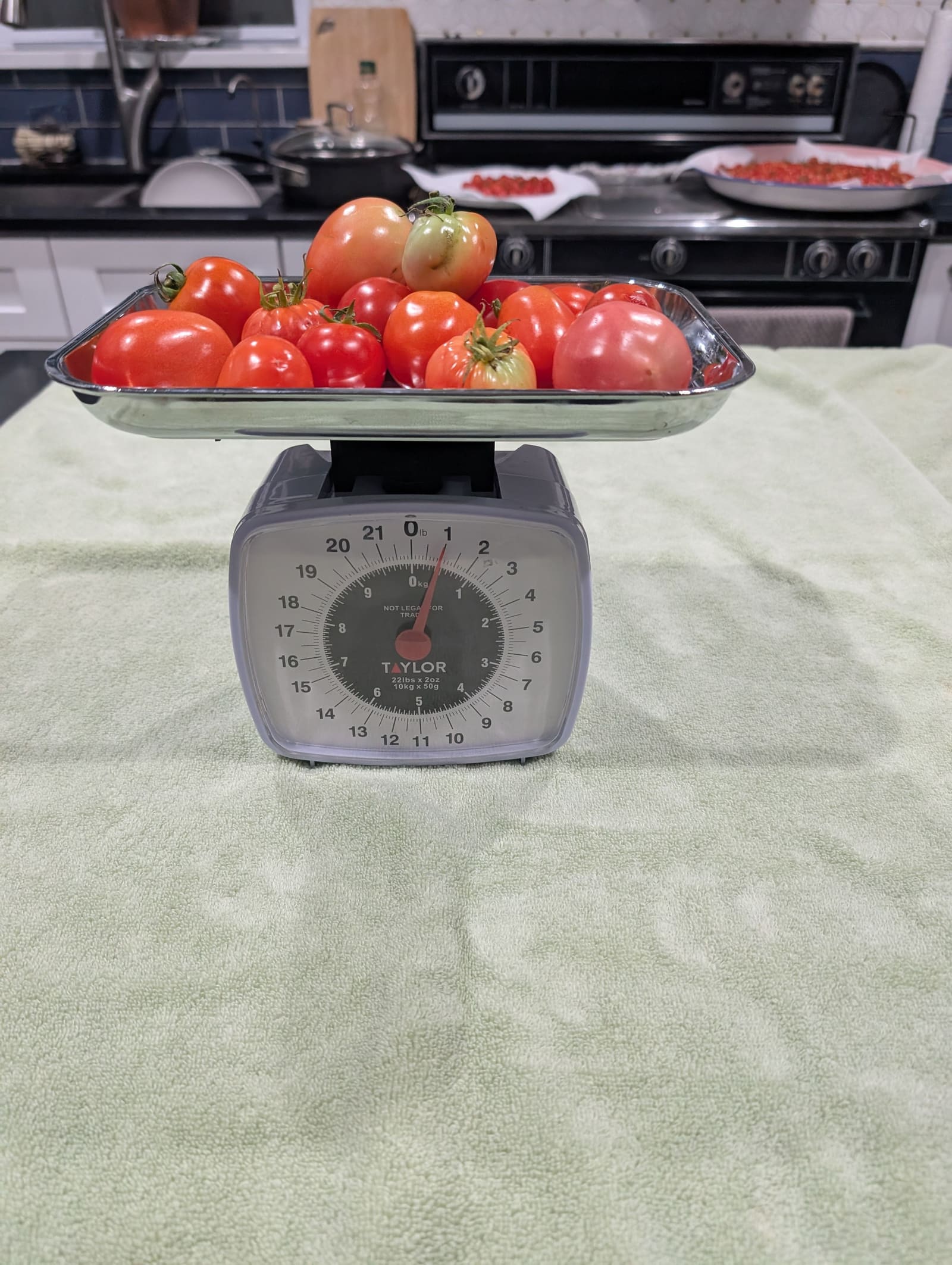 The week's harvest arranged on the table, with the scale in frame. August 2025.