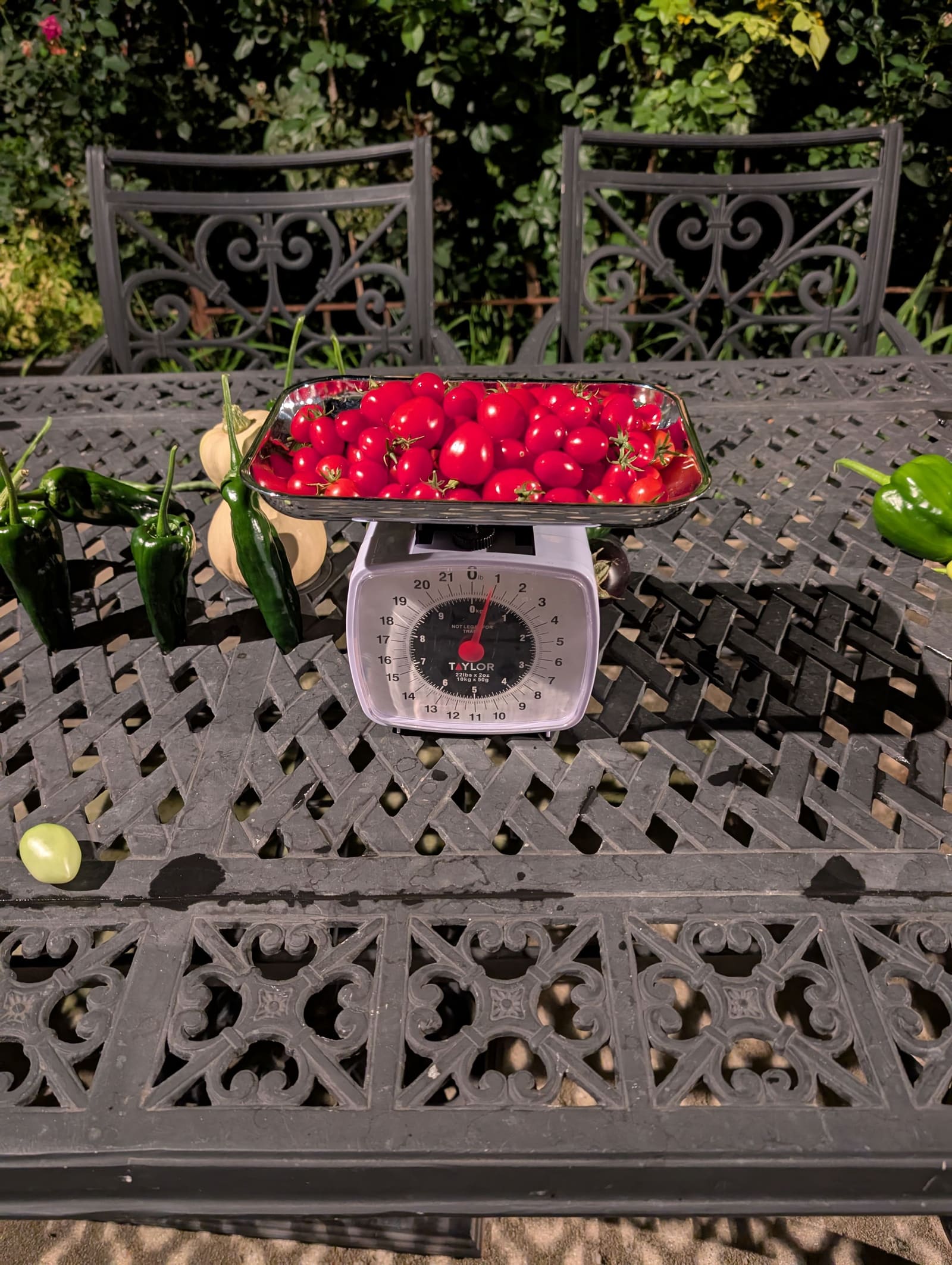 The week's harvest arranged on the table, with the scale in frame. August 2025.
