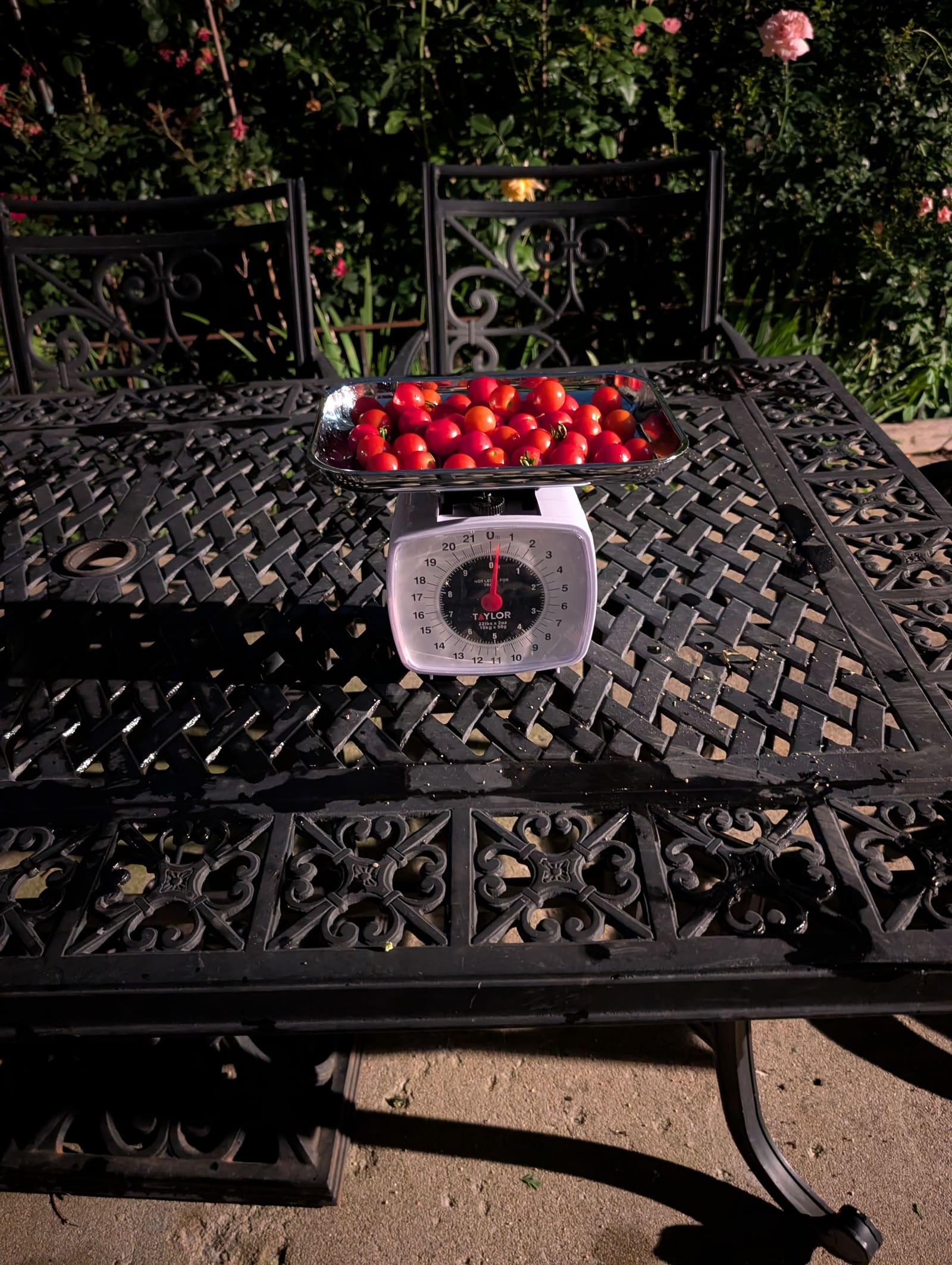 The week's harvest arranged on the table, with the scale in frame. July 2025.