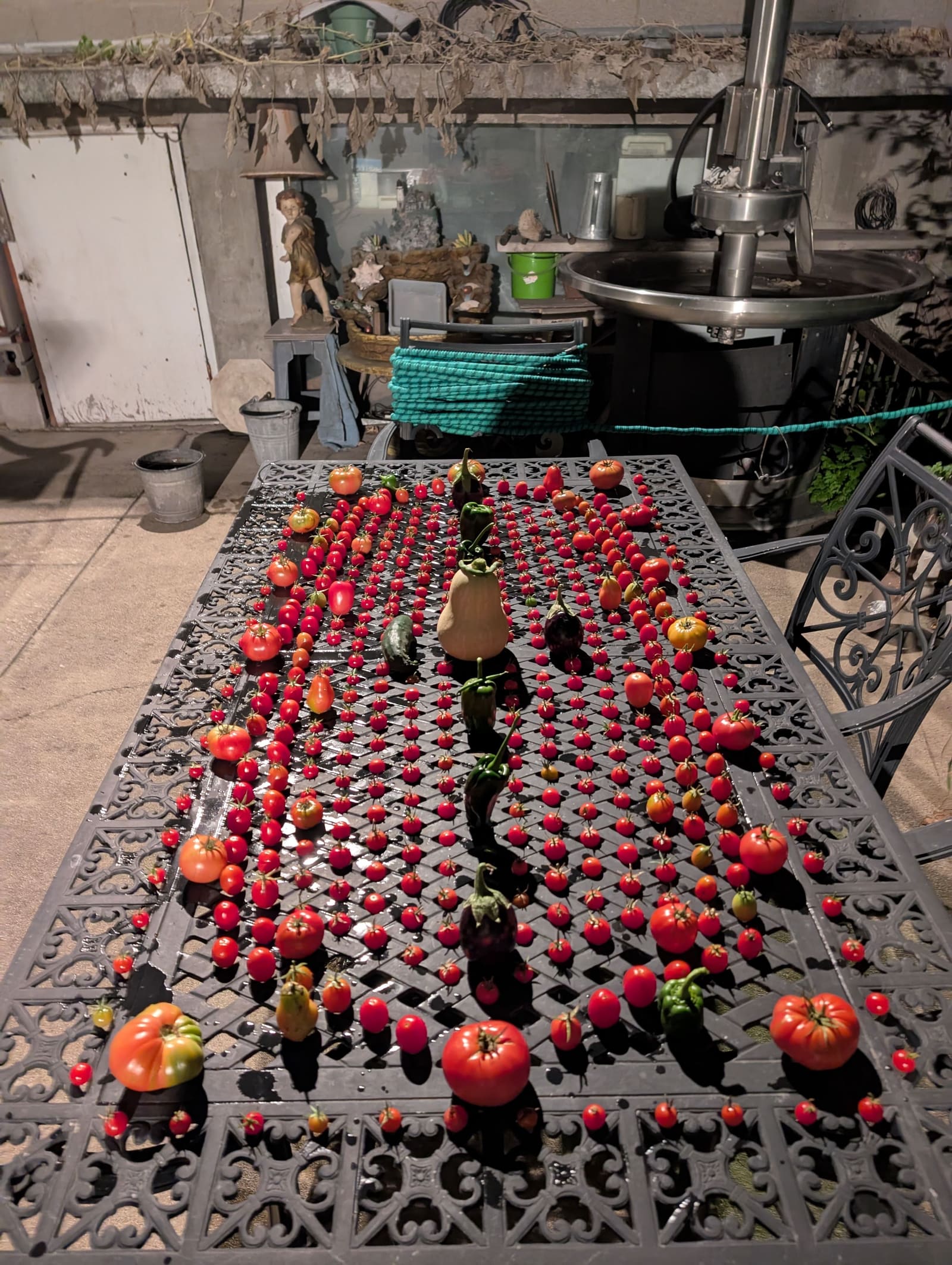 The week's harvest arranged on the table. October 2025.