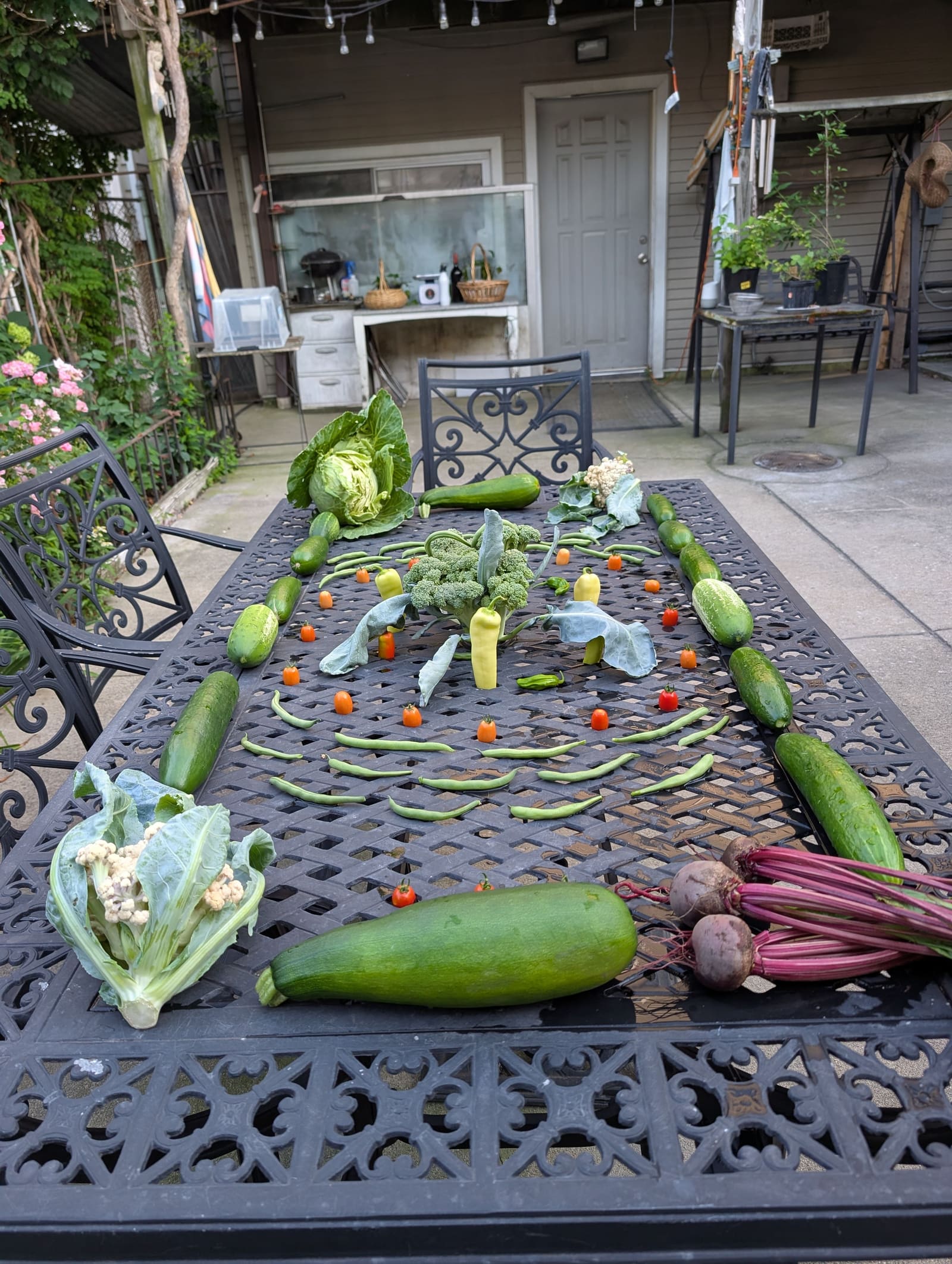 The week's harvest arranged on the table. July 2025.